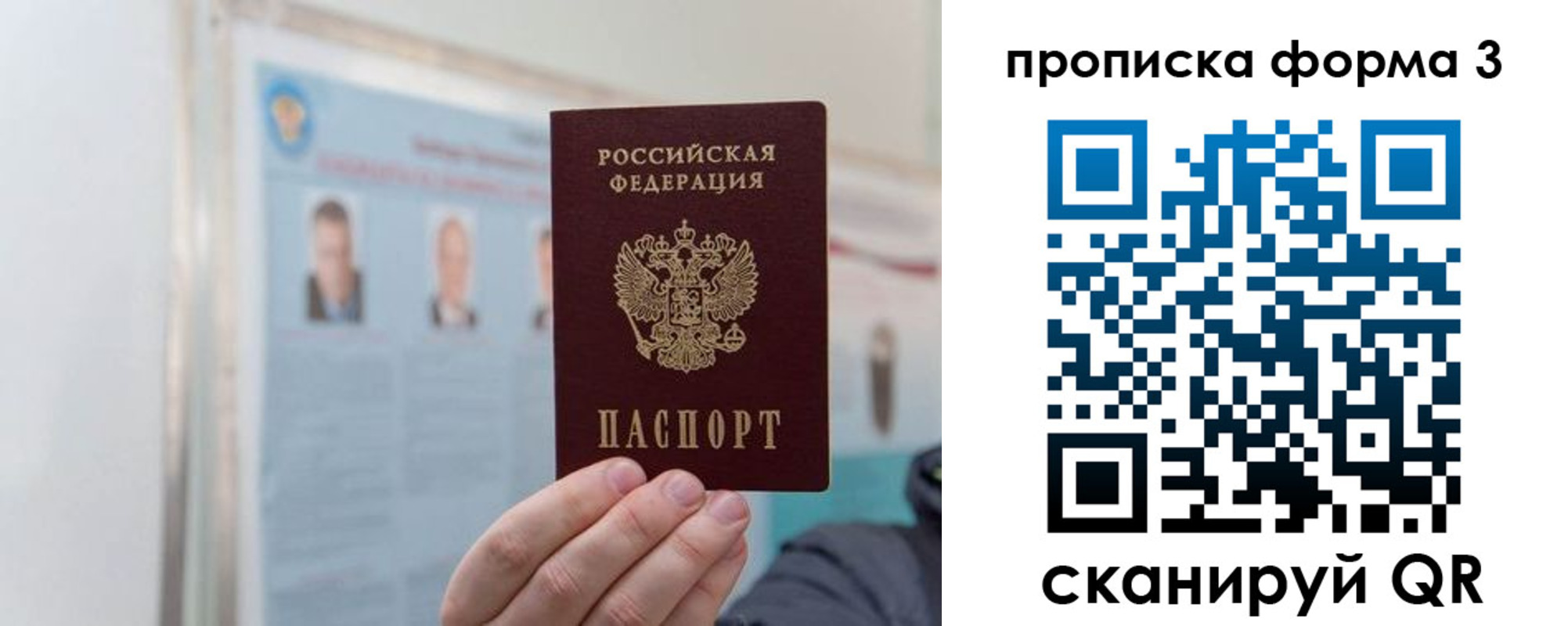 прописка законно в Мытищах