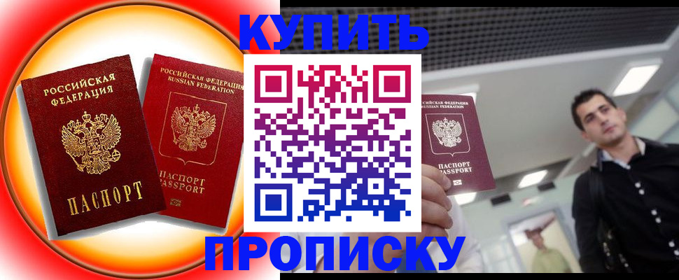 временная прописка в Мытищах
